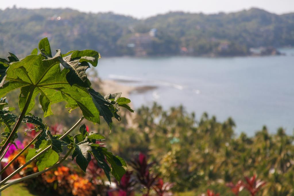 Hotel Casa Los Arcos Sayulita Exteriér fotografie